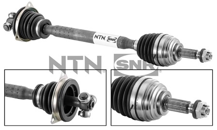 SNR DK55.009 Albero...