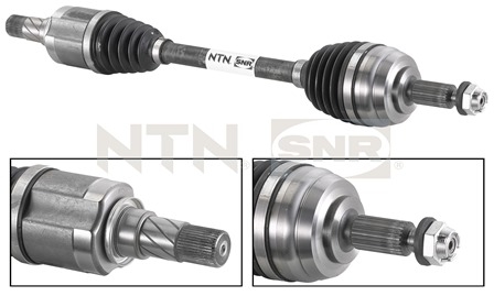 SNR DK55.011 Albero...