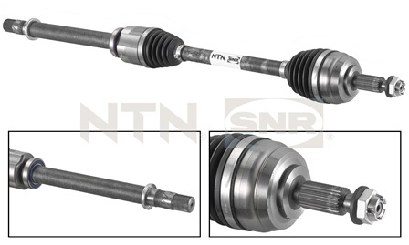 SNR DK55.012 Albero...