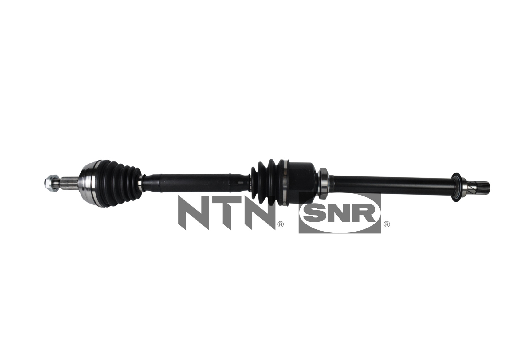 SNR DK55.018 Albero...