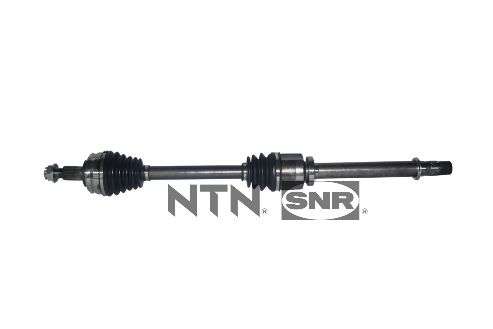SNR DK55.019 Albero...