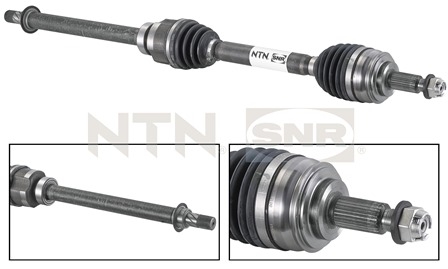 SNR DK55.021 Albero...