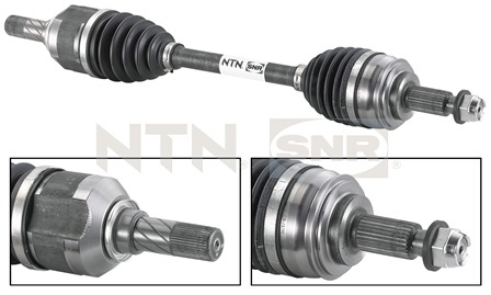 SNR DK55.022 Albero...