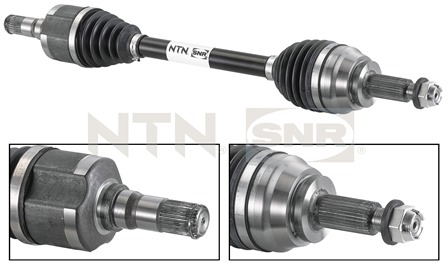 SNR DK55.023 Albero...