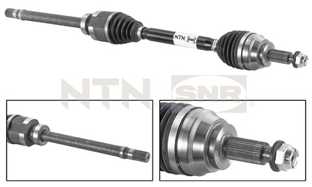SNR DK55.024 Albero...
