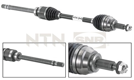 SNR DK55.025 Albero...