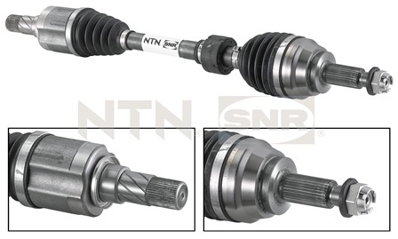 SNR DK55.026 Albero...