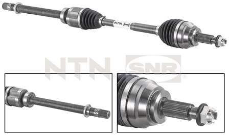 SNR DK55.027 Albero...