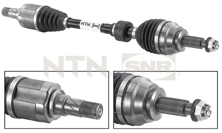 SNR DK55.028 Albero...