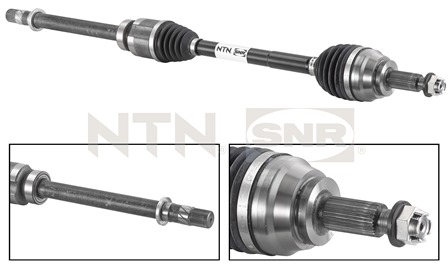 SNR DK55.029 Albero...