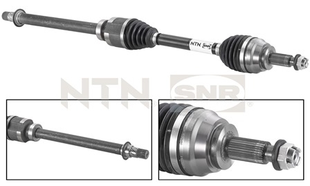 SNR DK55.031 Albero...