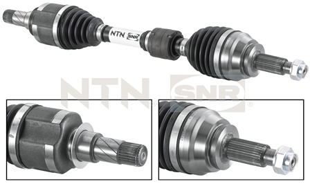 SNR DK55.032 Albero...