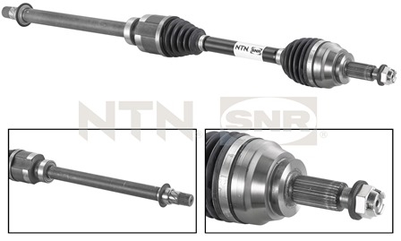 SNR DK55.033 Albero...