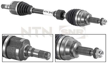 SNR DK55.034 Albero...