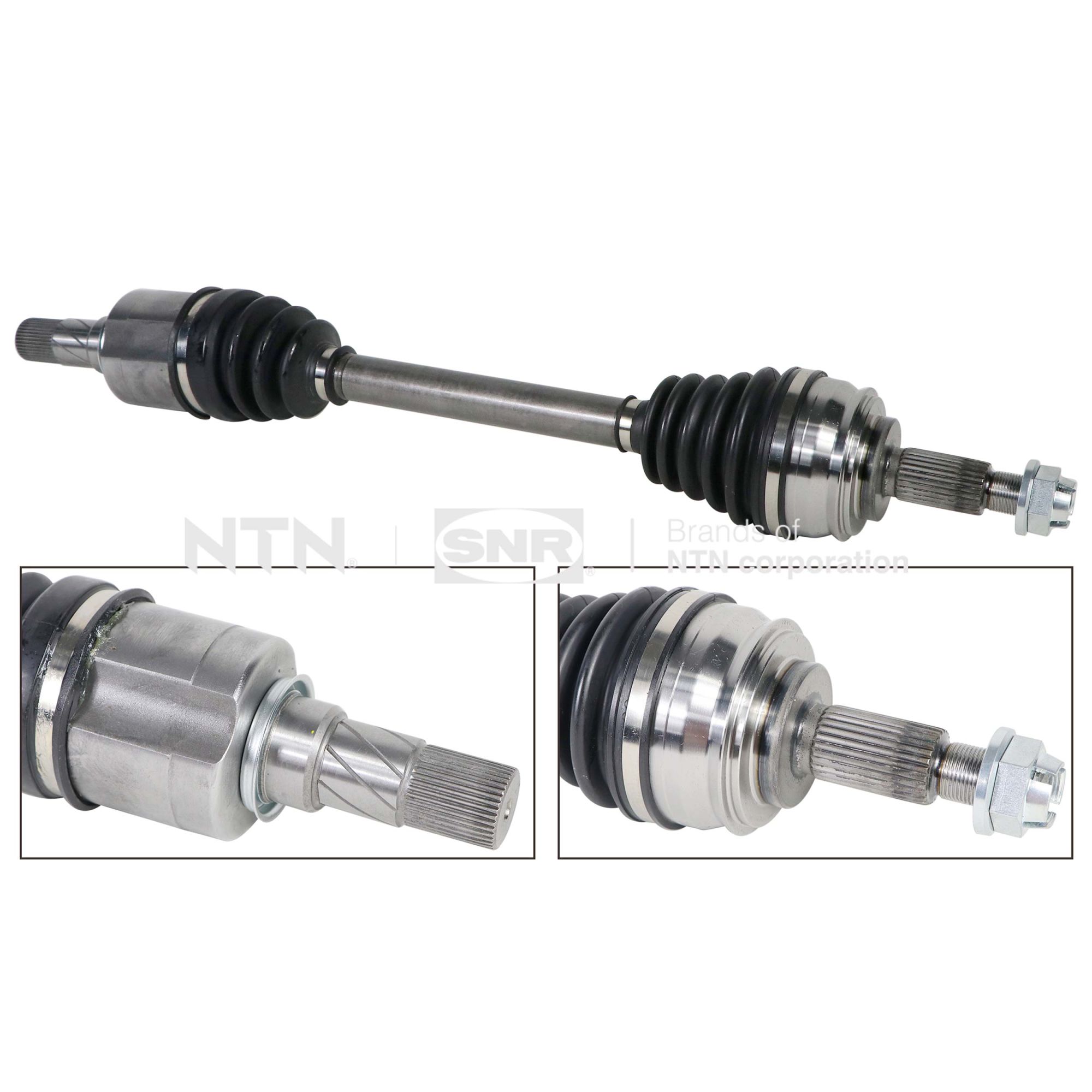 SNR DK55.035 Albero...