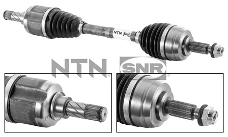 SNR DK55.038 Albero...