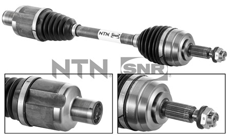 SNR DK55.039 Albero...