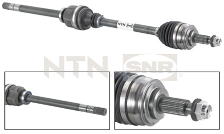 SNR DK55.041 Albero...