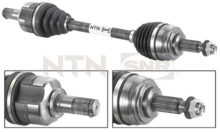 SNR DK55.042 Albero...