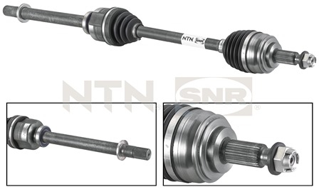 SNR DK55.043 Albero...