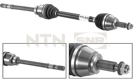 SNR DK55.044 Albero...