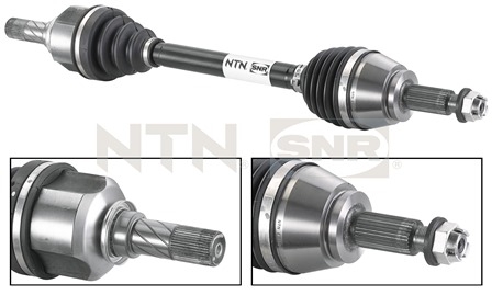 SNR DK55.045 Albero...