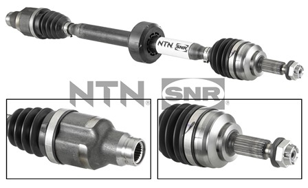 SNR DK55.046 Albero...