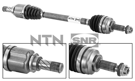 SNR DK55.047 Albero...