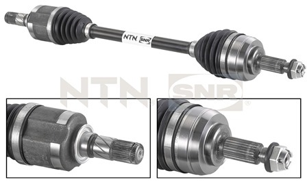 SNR DK55.055 Albero...