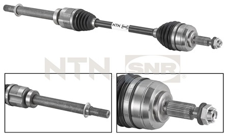 SNR DK55.056 Albero...