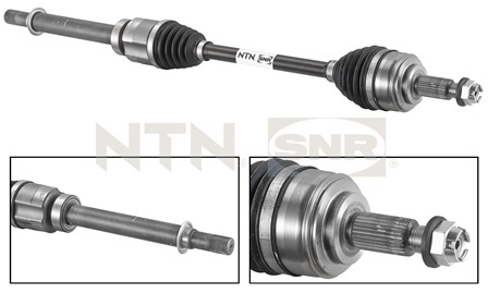 SNR DK55.058 Albero...