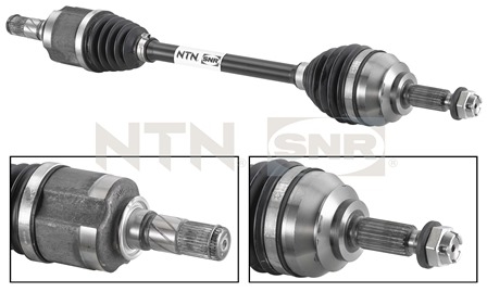 SNR DK55.059 Albero...