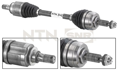 SNR DK55.061 Albero...