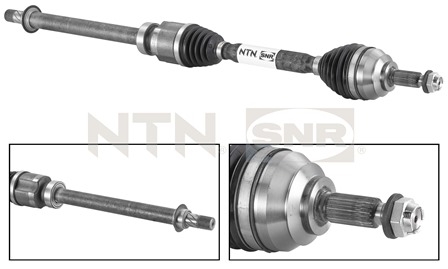 SNR DK55.063 Albero...