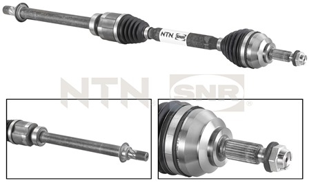 SNR DK55.064 Albero...
