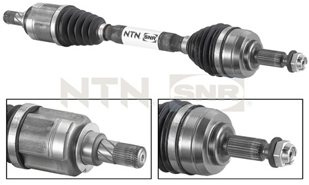 SNR DK55.065 Albero...