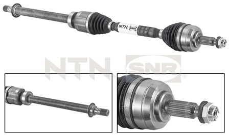 SNR DK55.066 Albero...