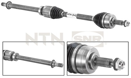 SNR DK55.069 Albero...