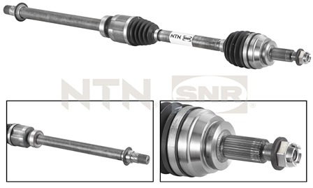 SNR DK55.071 Albero...
