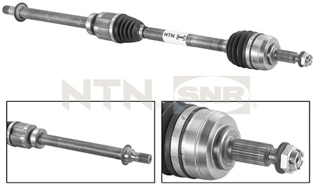 SNR DK55.073 Albero...
