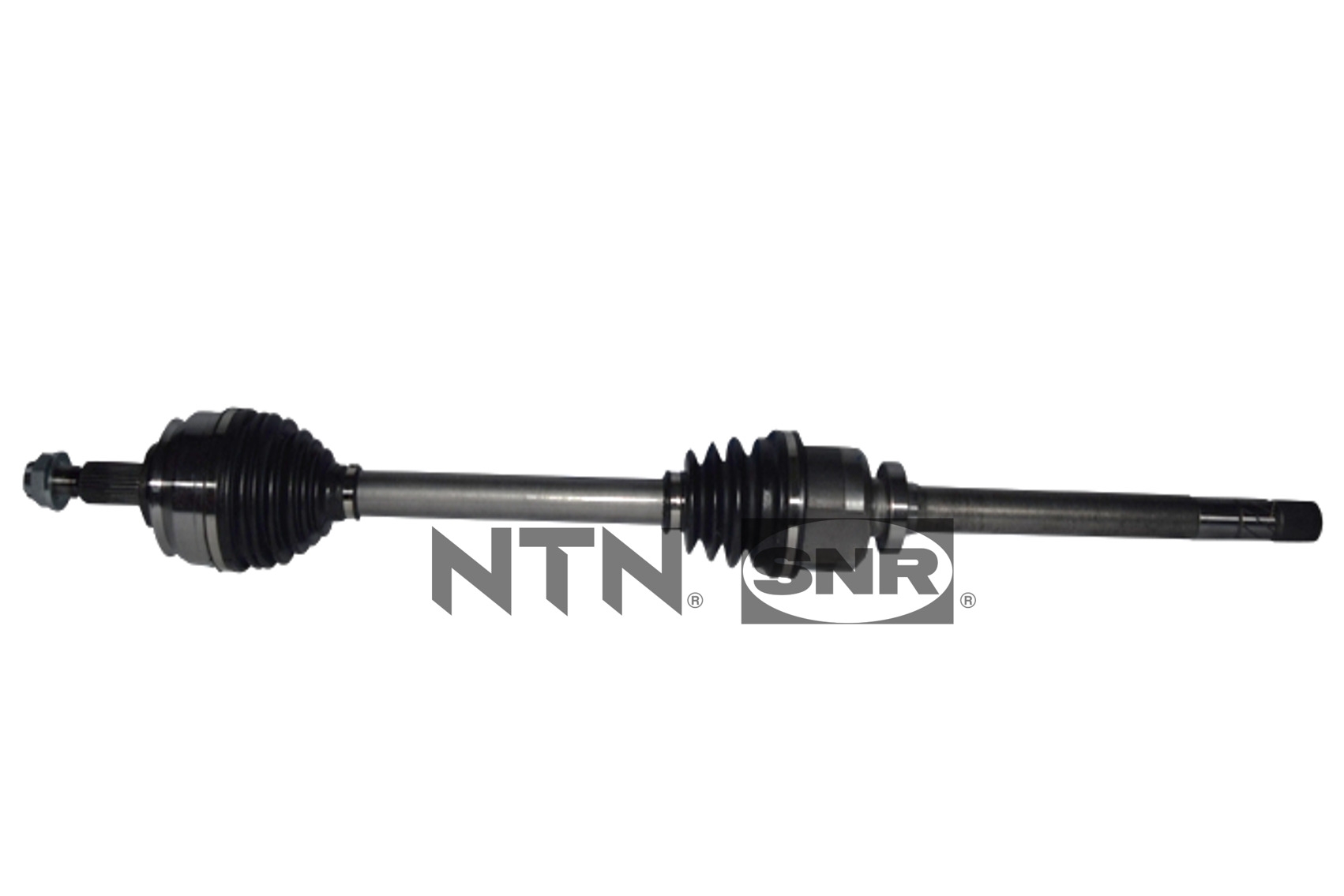 SNR DK55.074 Albero...