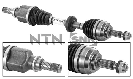 SNR DK55.081 Albero...