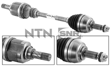 SNR DK55.088 Albero...