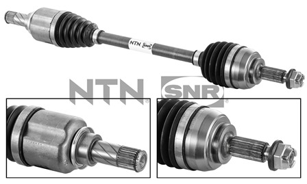 SNR DK55.092 Albero...