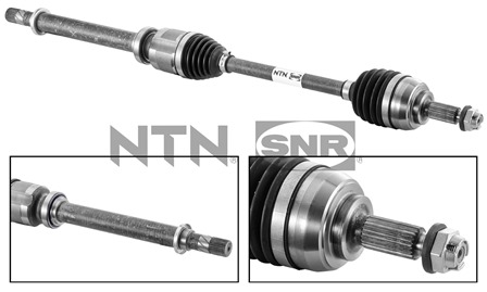 SNR DK55.093 Albero...