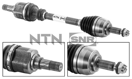 SNR DK55.097 Albero...