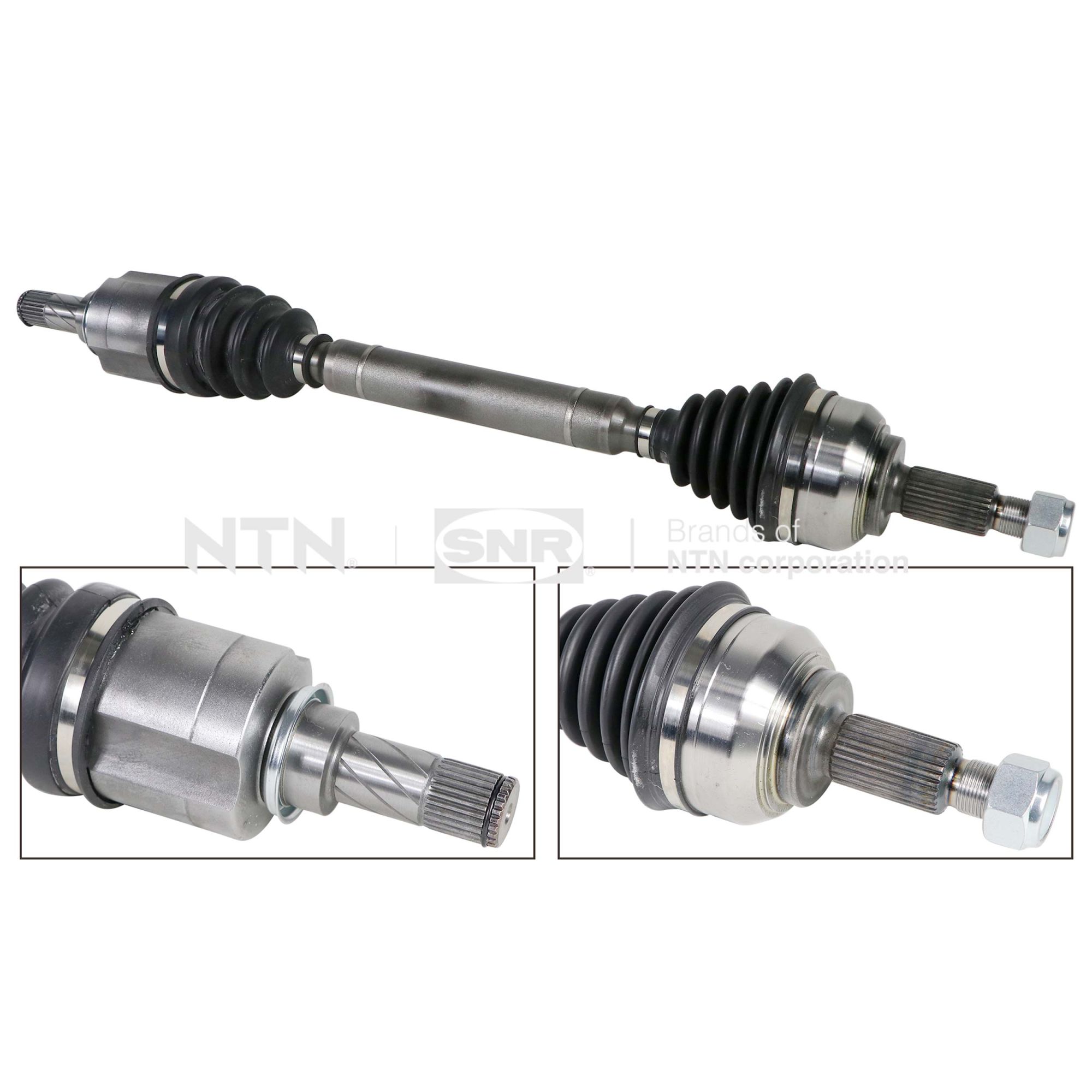 SNR DK55.098 Albero...