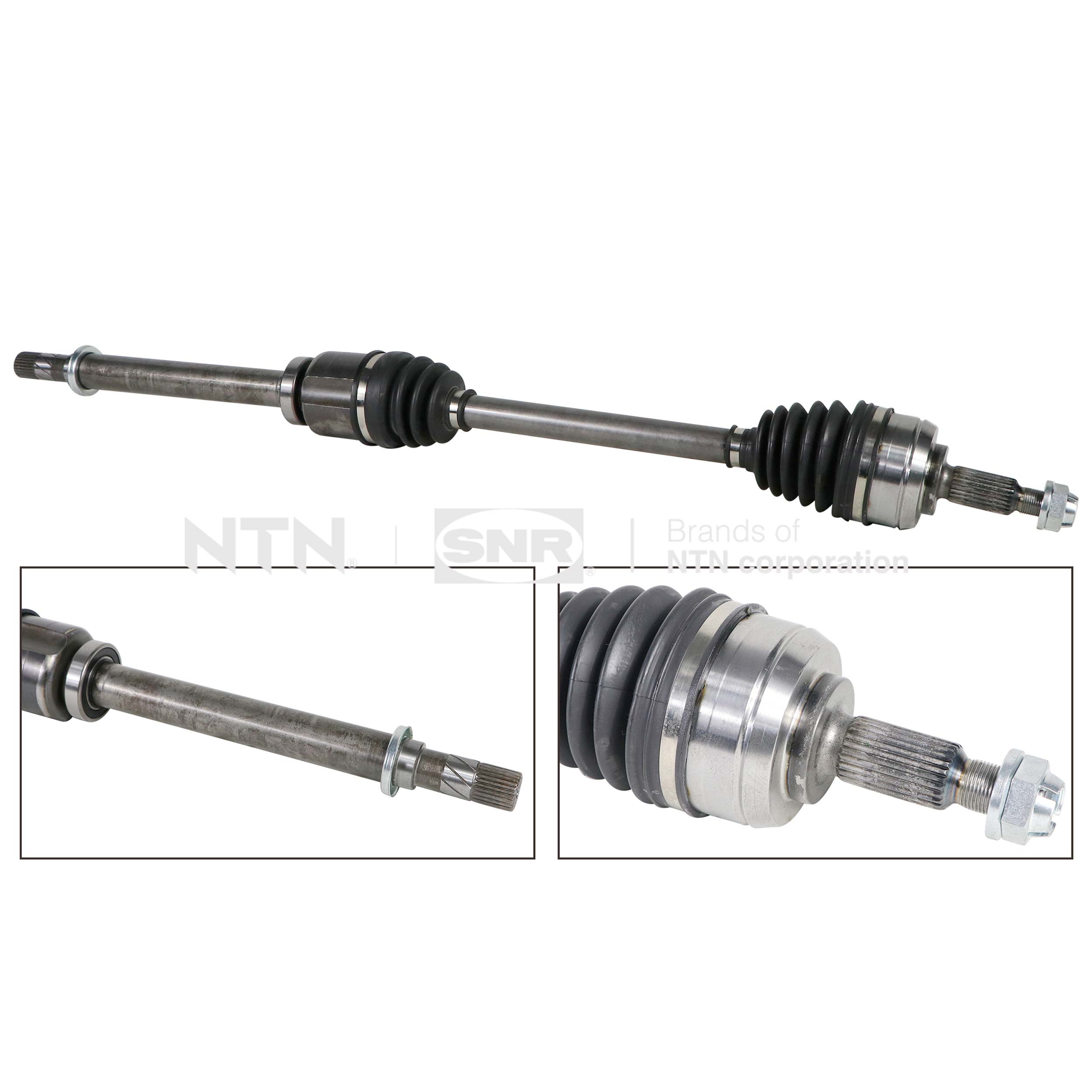 SNR DK55.101 Albero...