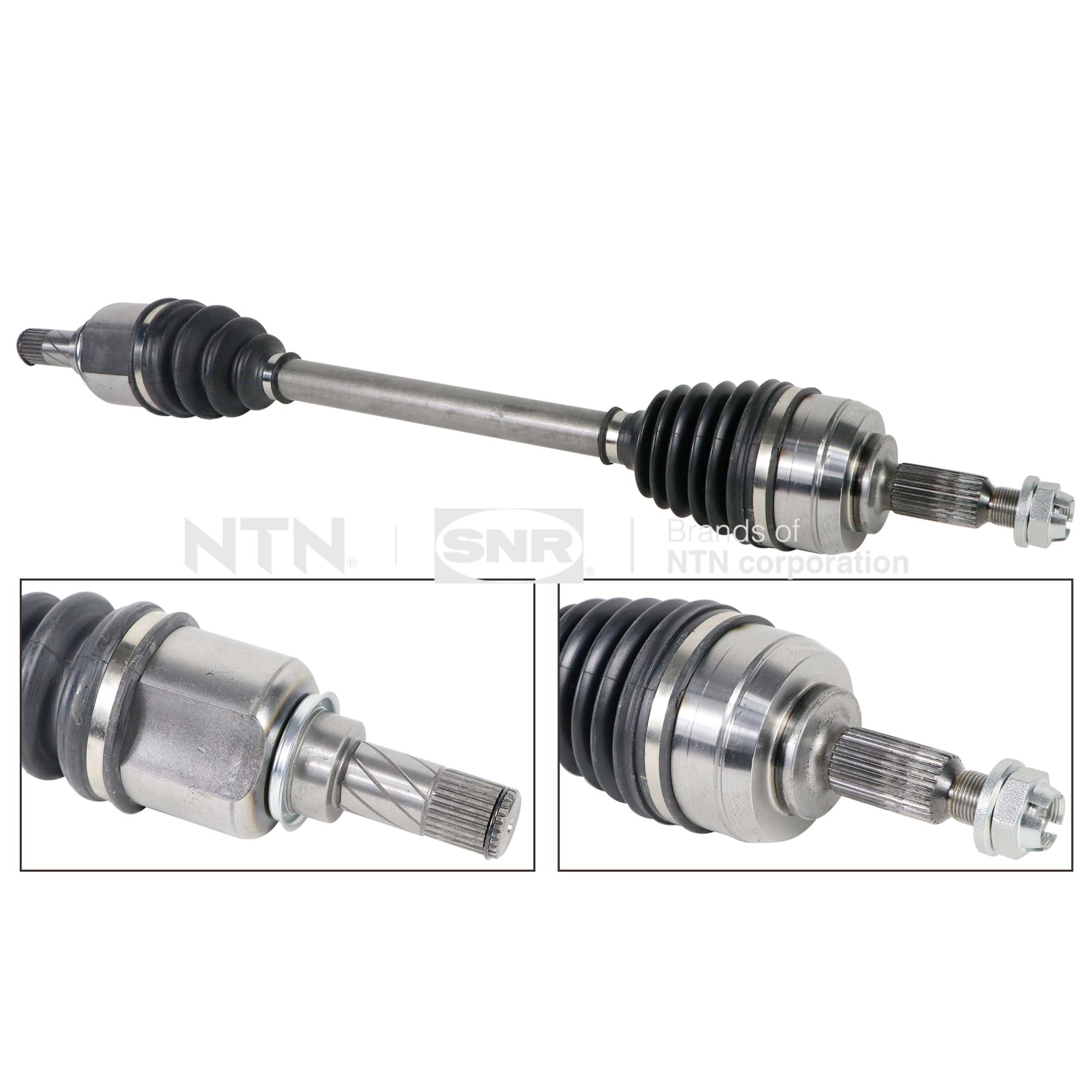 SNR DK55.102 Albero...