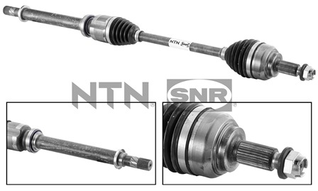 SNR DK55.103 Albero...